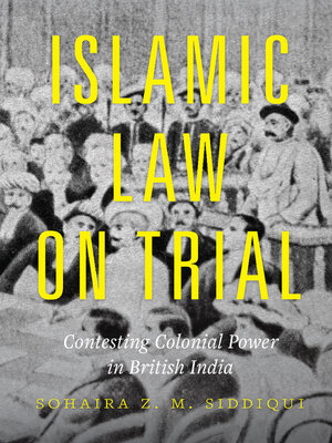 cover image of Islamic Law on Trial